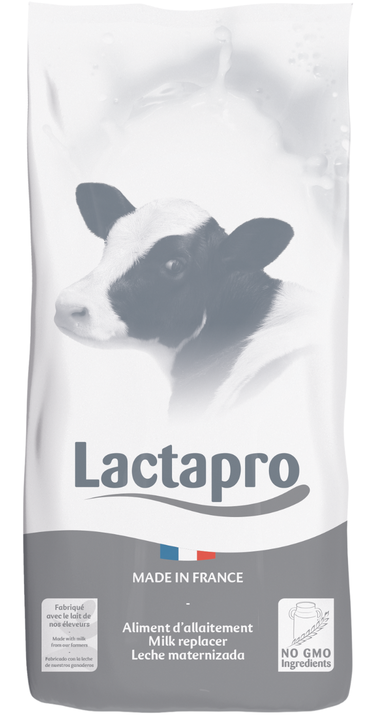 LACTAPRO MEGA RESPI