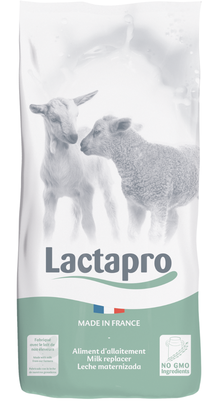 LACTAPRO MASTER +